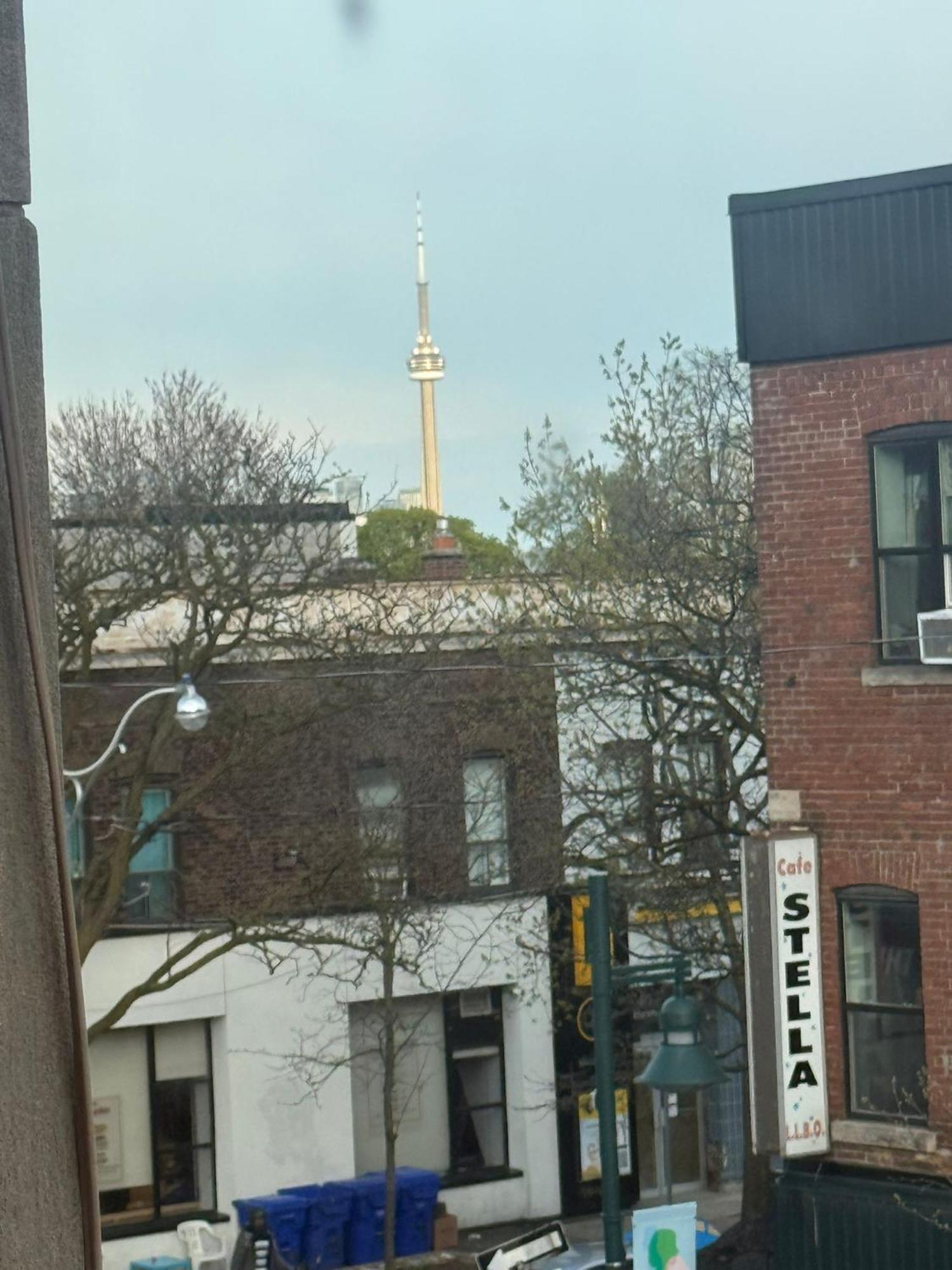 Maple Leaf Stay-walk To Uoft,dt,street Cars,bars,rom-free Wifi Homestay *